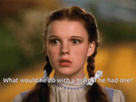 dorothy gif|dorothy wizard of oz meme.